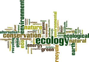 Ecology word cloud concept. Vector illustration