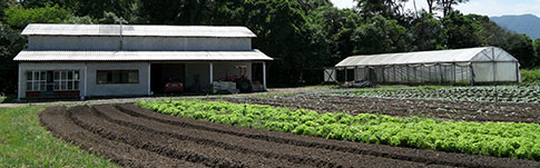 Projekt Kleinbauern im ländlichen Raum
